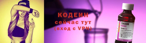 индика Россошь