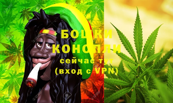 индика Россошь